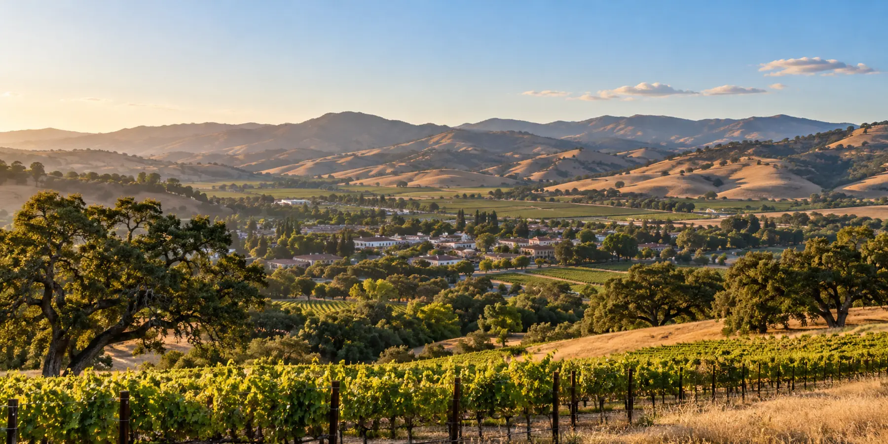 Vista panorámica de Buellton, California, con colinas doradas, robles y viñedos del Valle de Santa Ynez