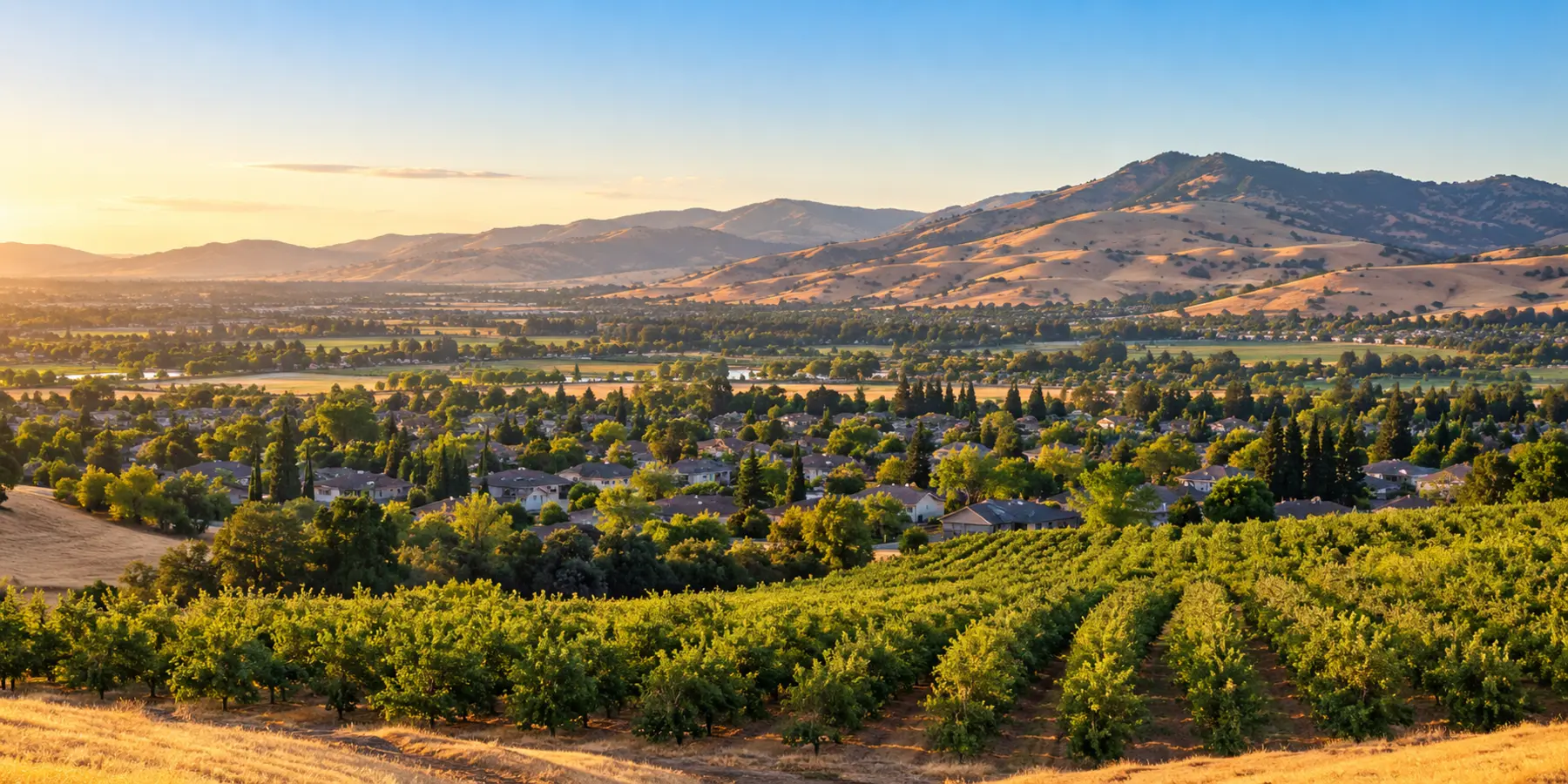 Vista panorámica de Vacaville, California, con colinas, huertos y vecindarios de Vacaville